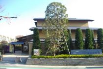 埼玉大宮盆栽美術館