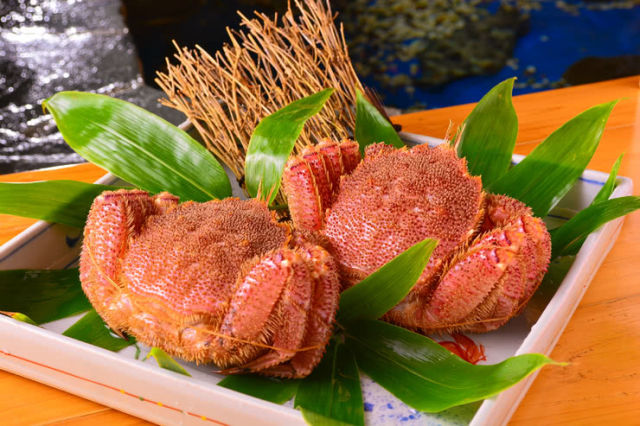 前往旅行時絕對要品嚐一次 豐盛的北海道海鮮丼尋找美味日本 品味日本 日式餐廳導覽