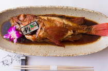 紅燒魚・生魚片・時令菜餚　海乃四季_蓬松柔软精制奢侈素材而成的“大翅鲪鲉干烧”