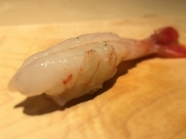 壽司 ISONO_牡丹蝦