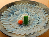 割烹福壽司 高津戶_尽享正宗下关产河豚之美味。以套餐料理口味的“河豚生鱼片”