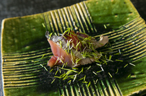 壽司店MATSUMOTO_從下酒菜佳餚開始。絕不錯過最美味時期的「刀拍迴游柴魚（秋季）」
