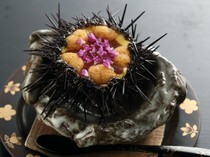 酒餚 大阪饅福堂_以天然的外觀直接享用的人氣逸品「帶殼海膽」